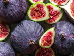 Figuier 'Turca Noir'