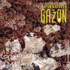 Sedum album 'Coral Carpet'